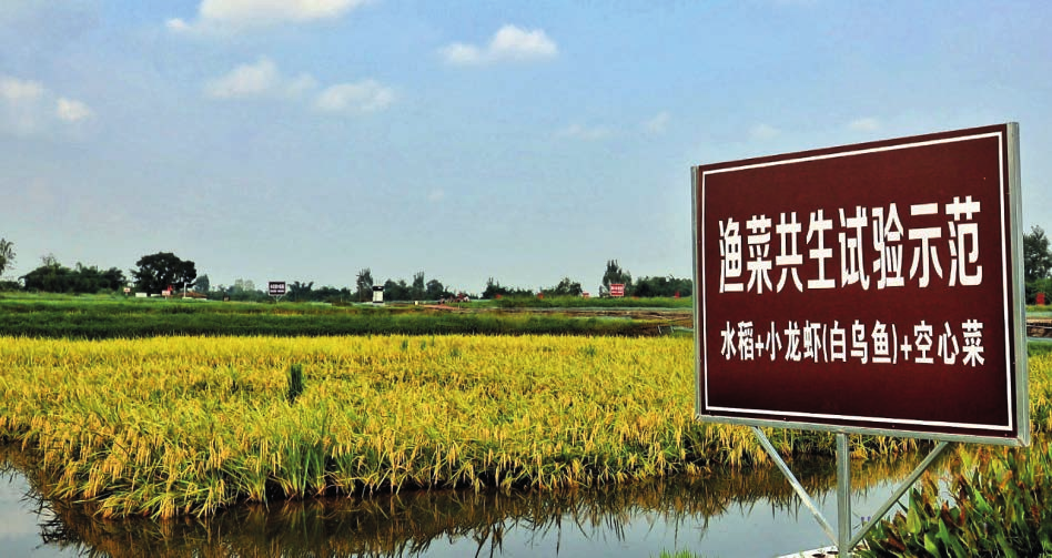 蟹蟹亲水产
